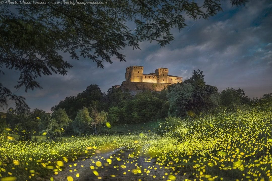 Fireflies below Torrechiara castle